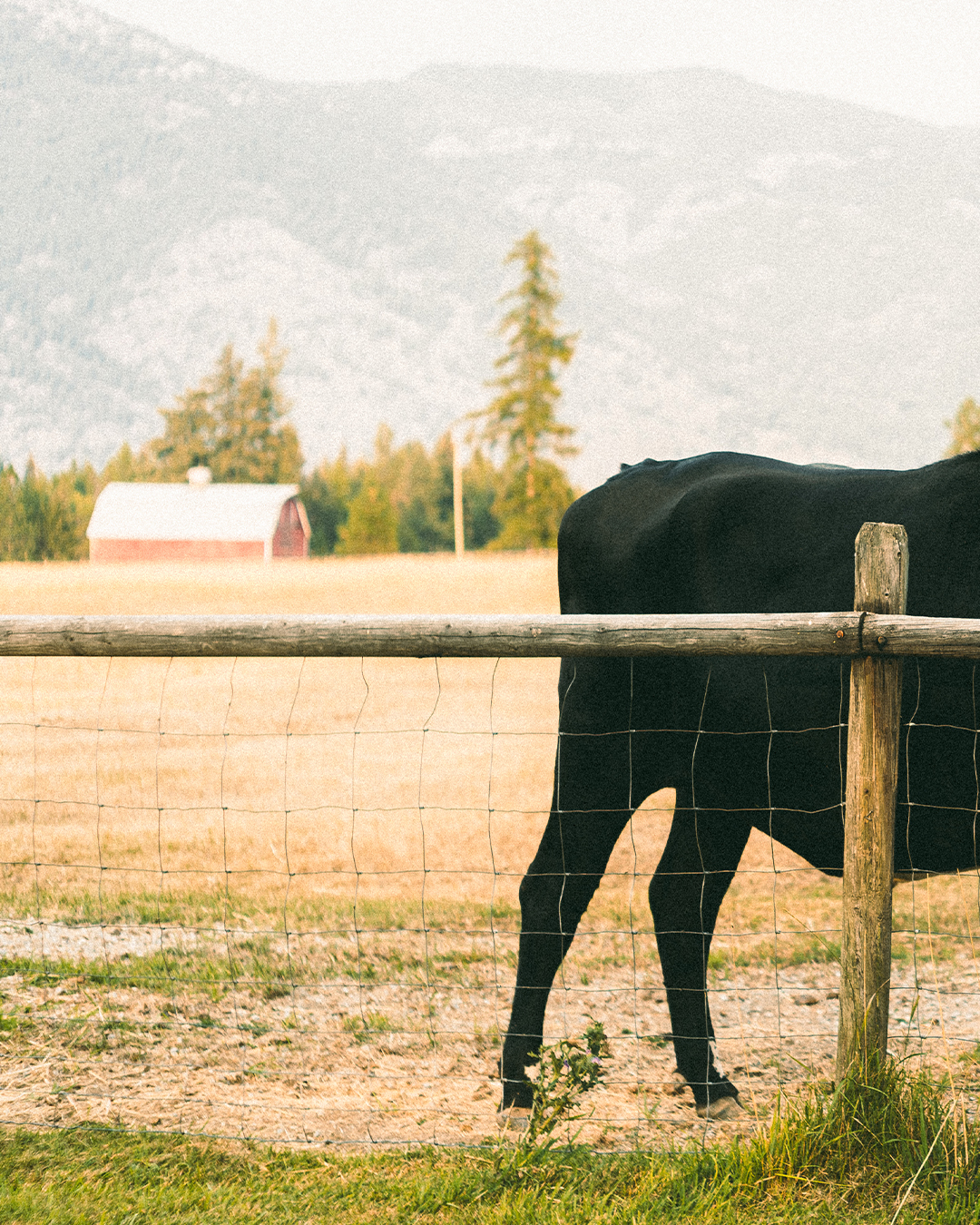 Creative Editorial Portraits with Horses on a Private Ranch in Montana — photograph 19 of 20